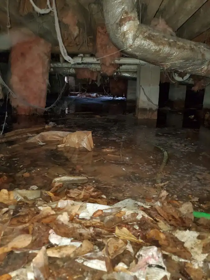 Crawl space flood assessment for Leak Detection & Repair in Winterset